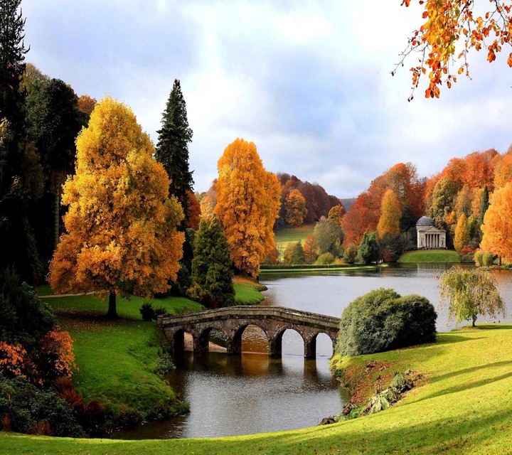 autumn