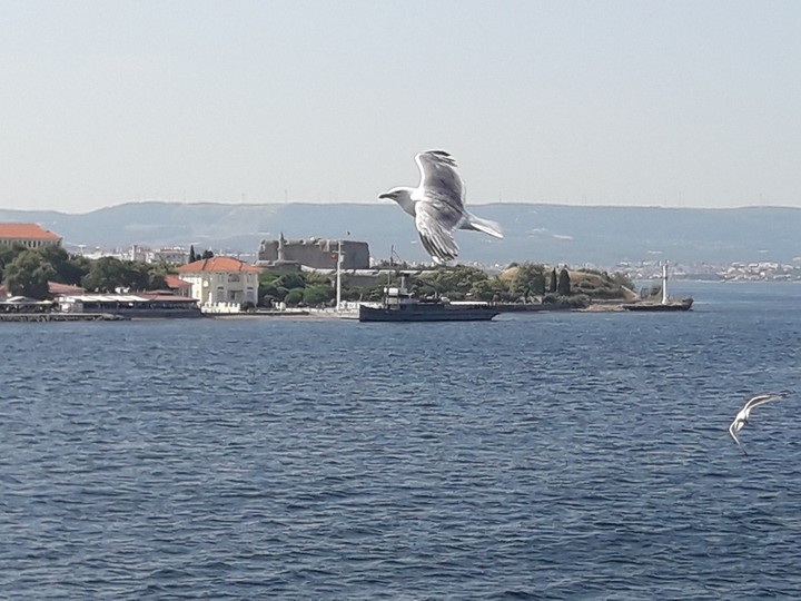 Türkiye Çanakkale