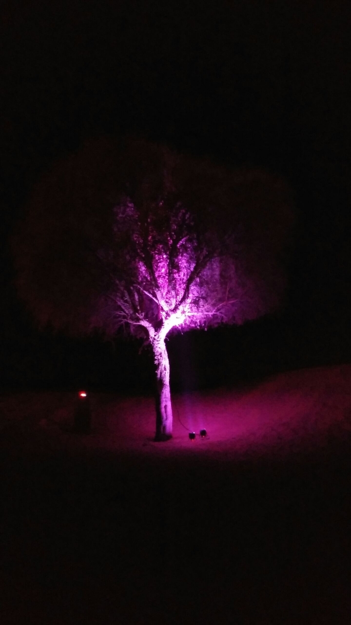 #evening #romance #dark