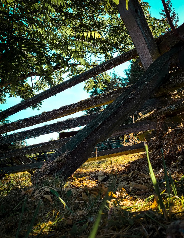 Farm