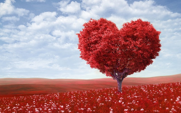 Red Love Hd
