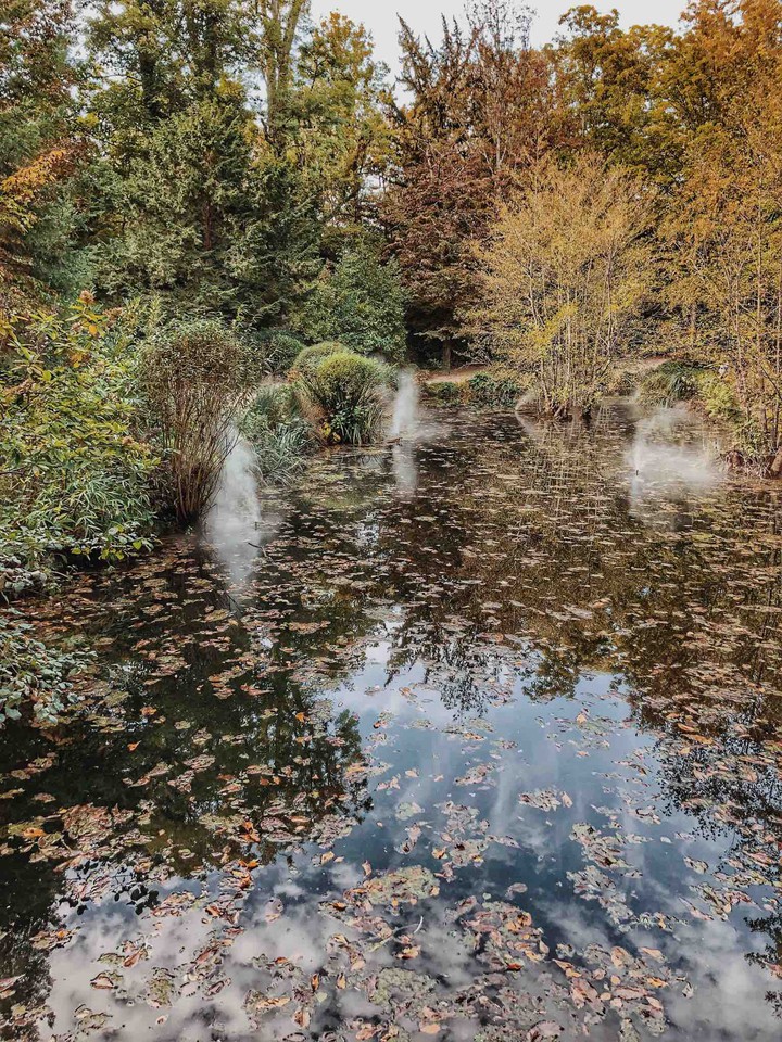 autumn