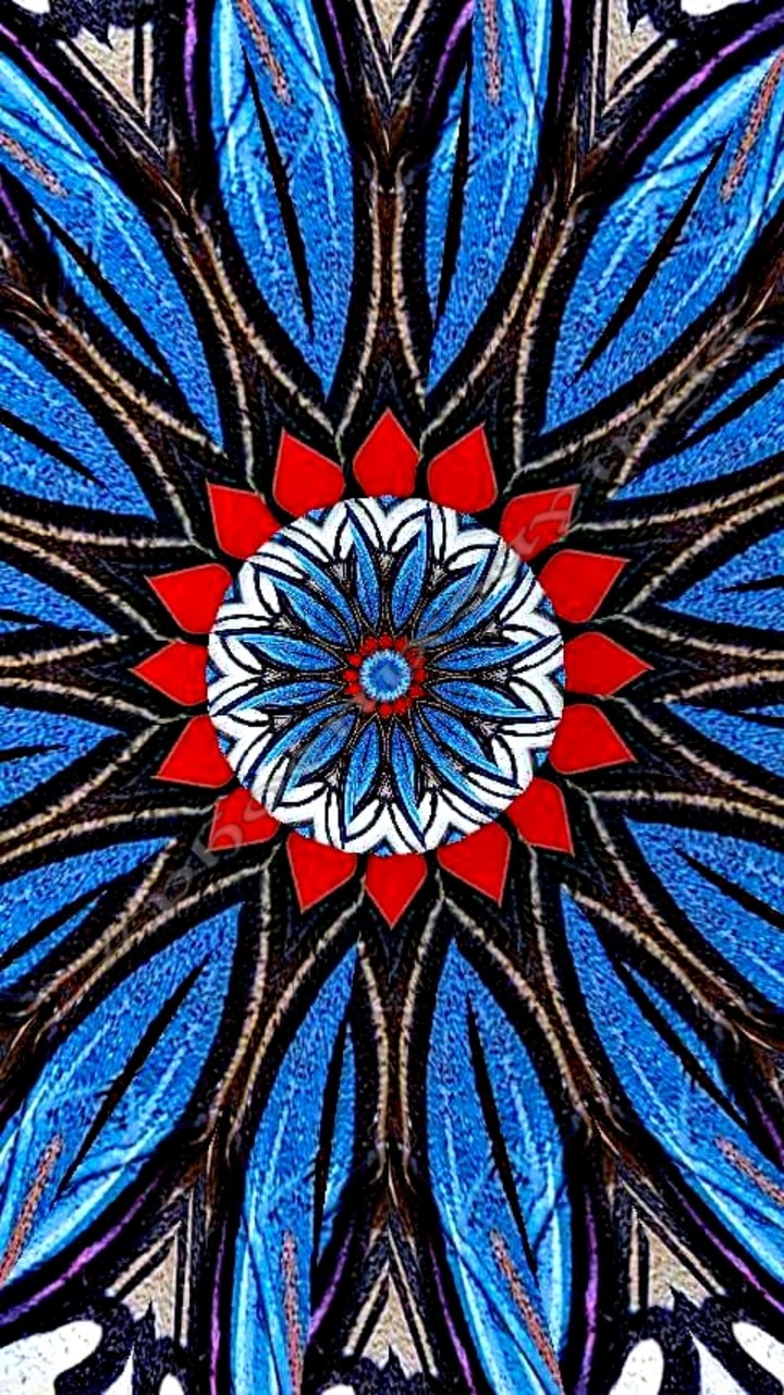 I made this kaleidoscope from wall graffiti