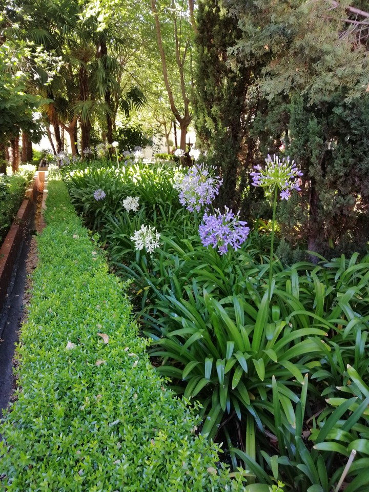 Parque de alcala de henares