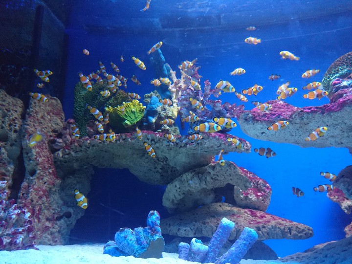 Inside of the ocean