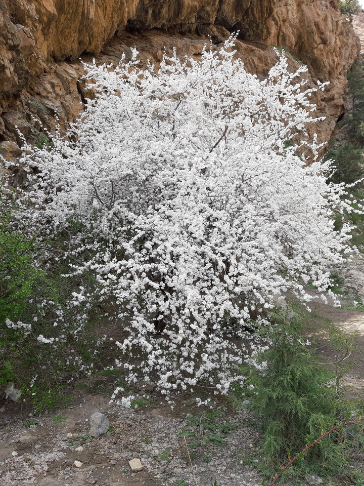 ♡