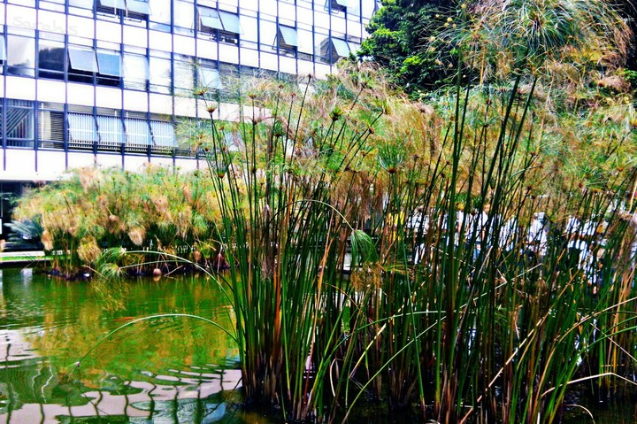 Asa Sul - Cidade Parque