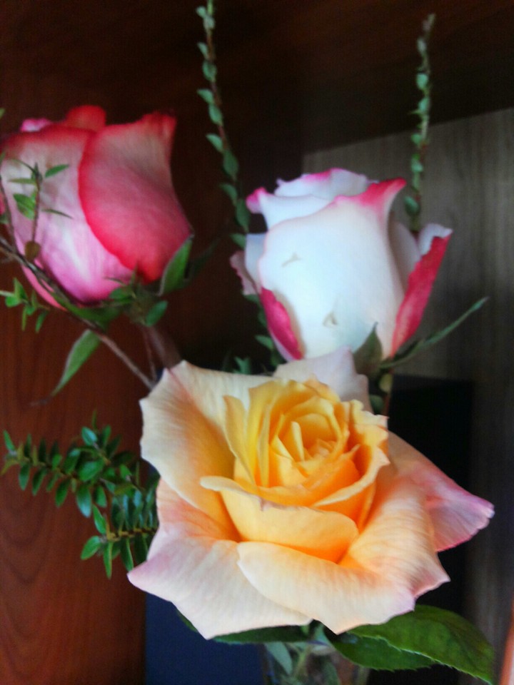 Belleza