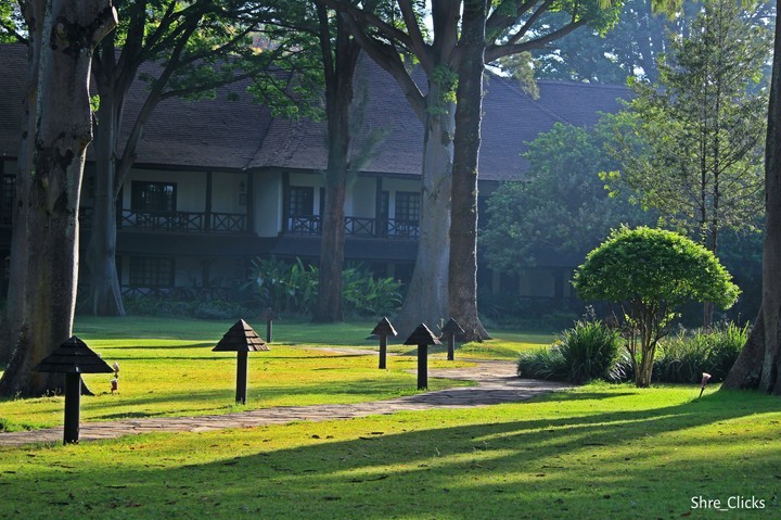 morning in Nairobi