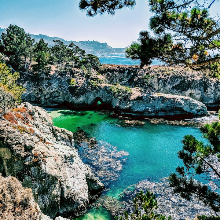 Point Lobos, California