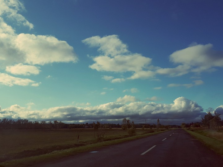 nature