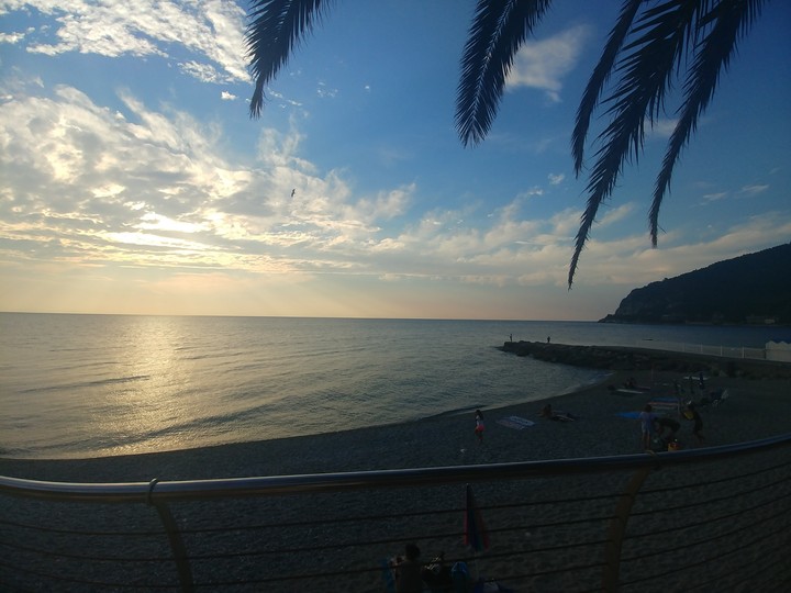 Noli