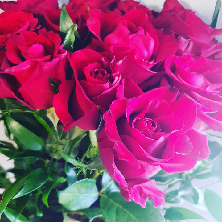 roses