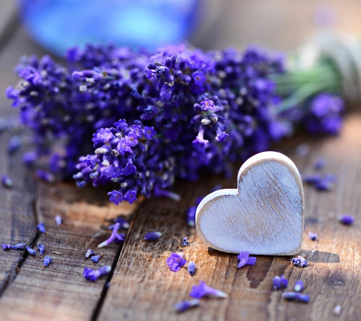heart