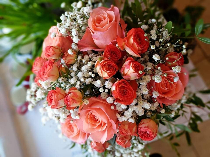 Roses