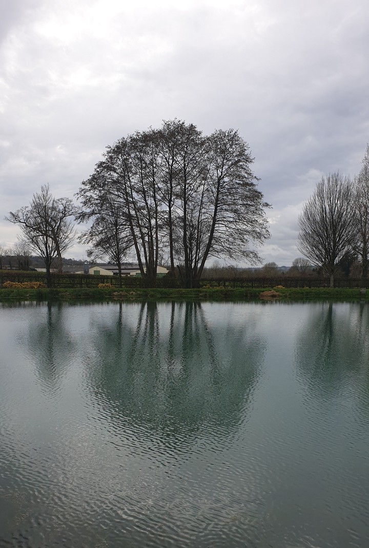 Mirror lake