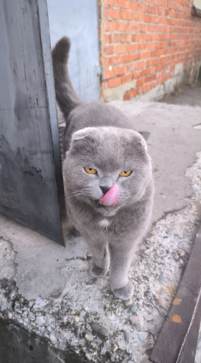 .