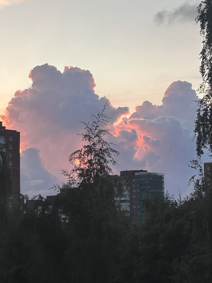 ταπετσαρίες Orange, evening