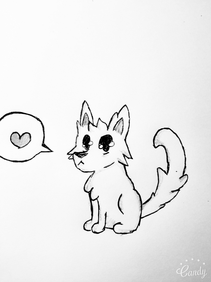 dog:3
