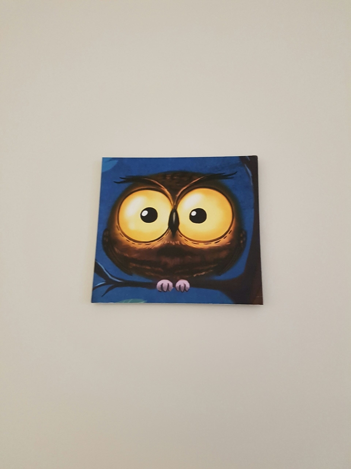 Owl