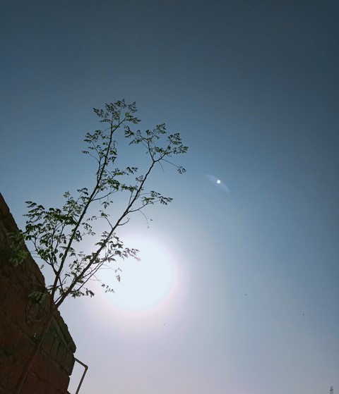 sun