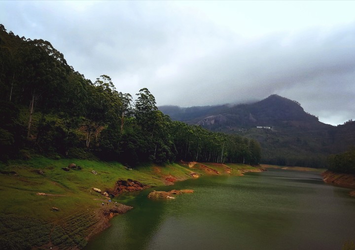 munnar 1