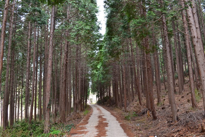 영취산이미지