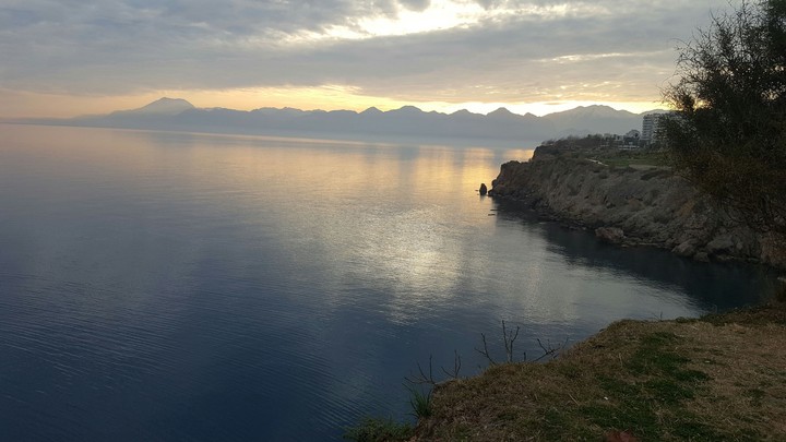 turkey