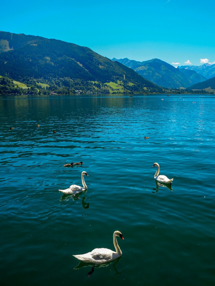 Austria nature