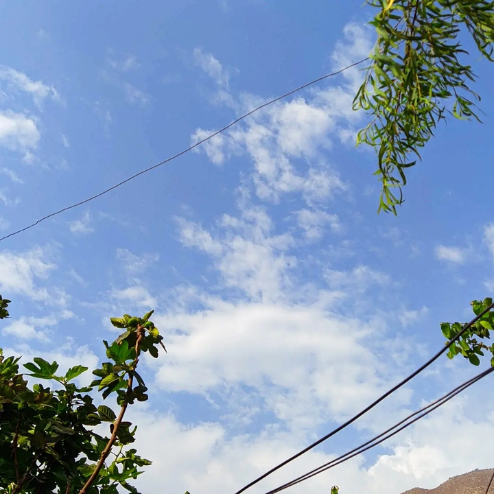 cielo
