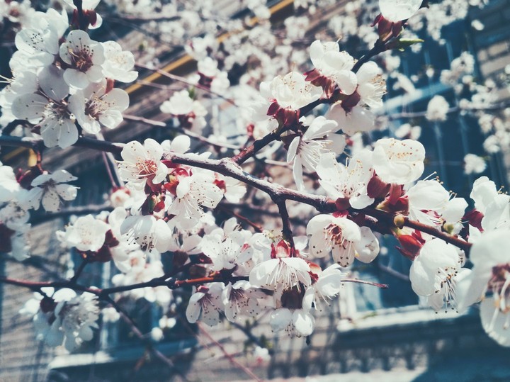 spring in russia