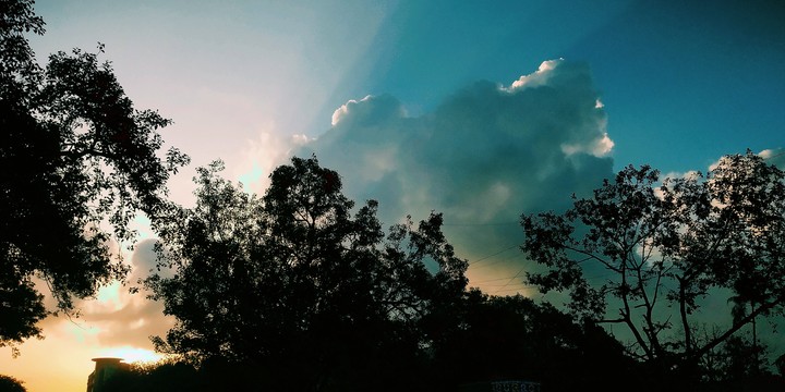 Rayzz