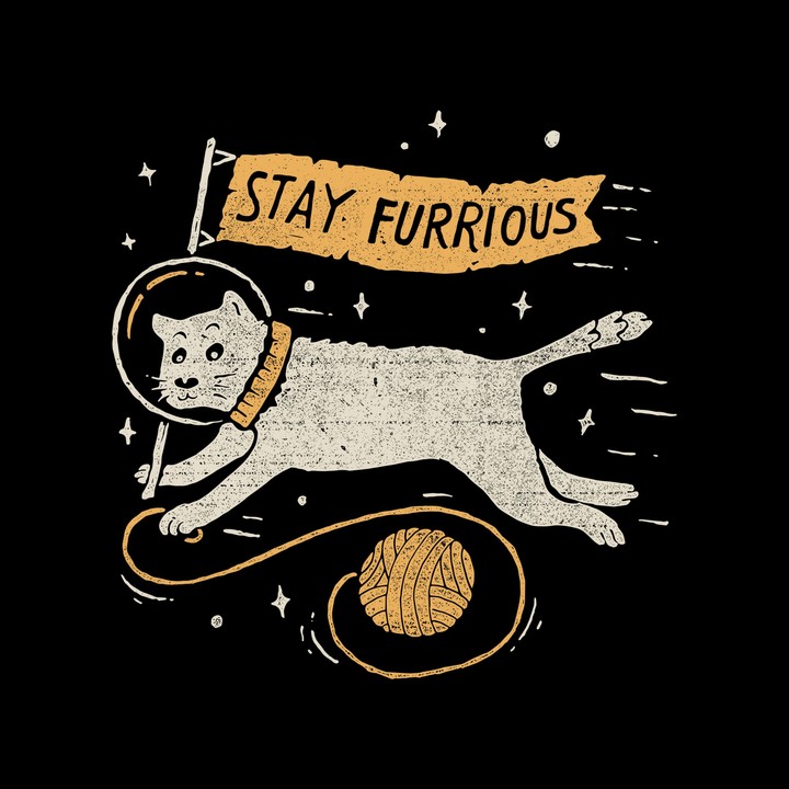 Furious cat