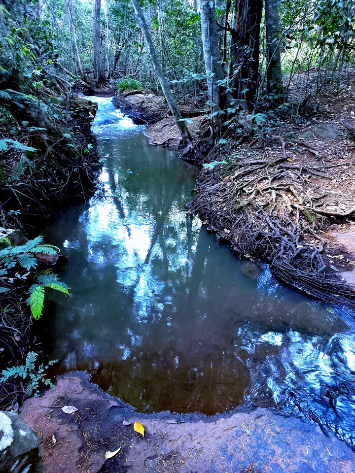 stream