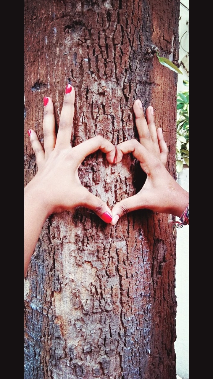heart