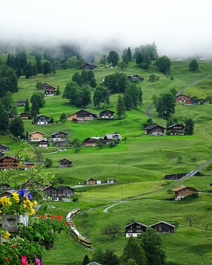 landscape