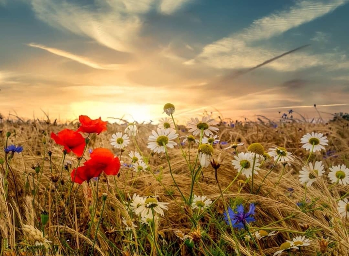 عکس پس زمینه
