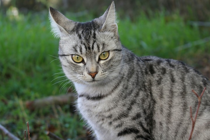 wow,this eyes 