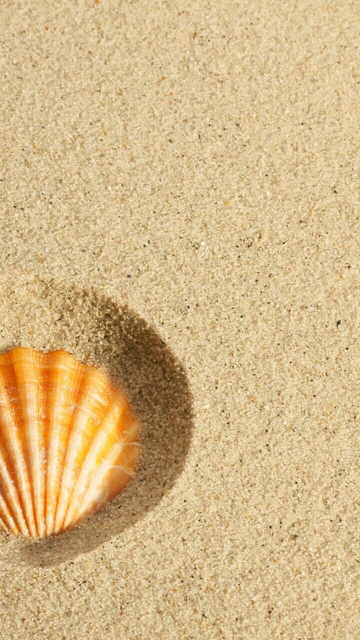 Summer