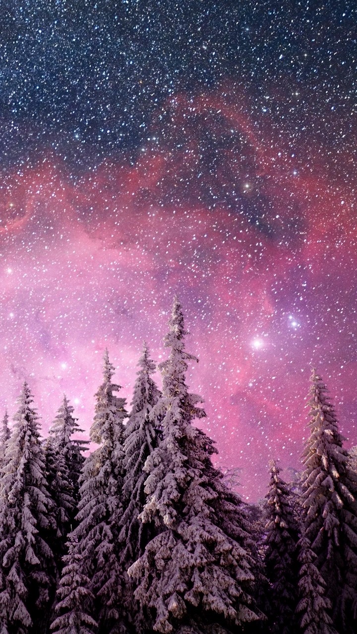 starry night
