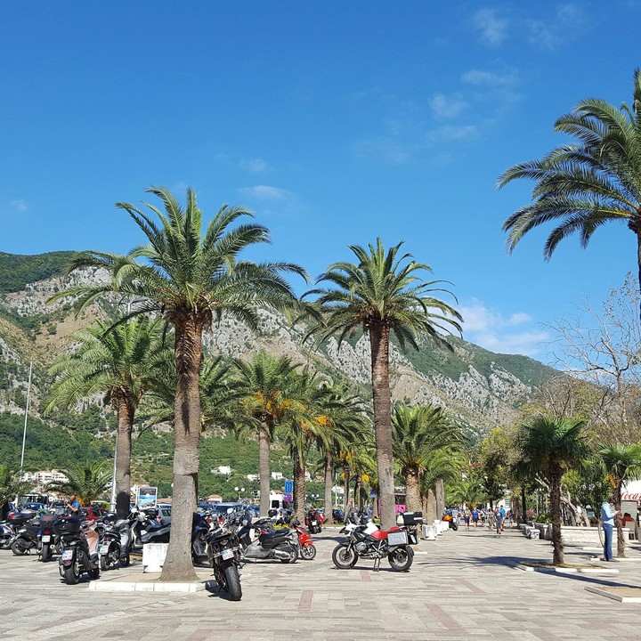 Kotor Old town