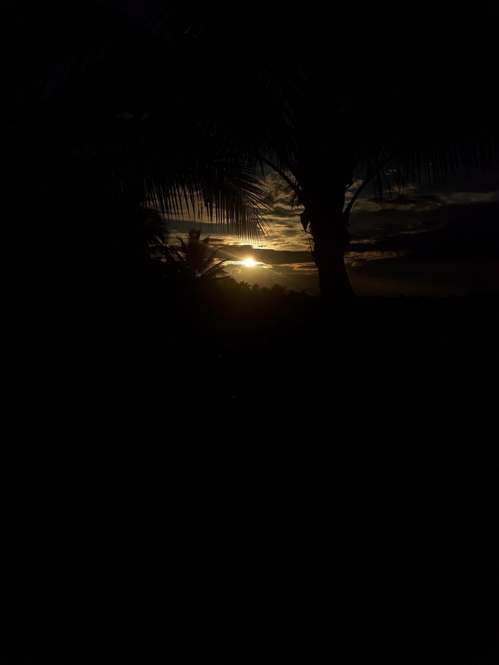 sunshine