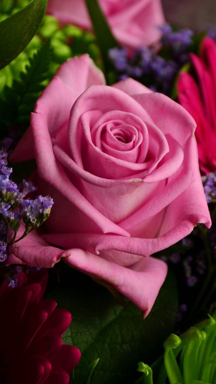 mill cores de rosas