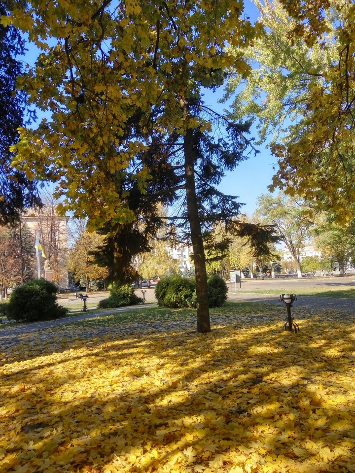 Golden autumn