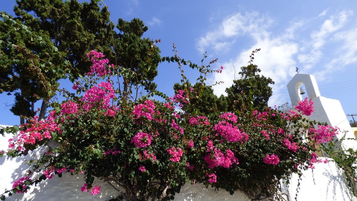 Nisyros 2014
