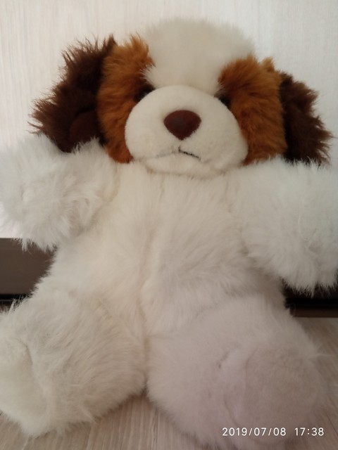 Puppy