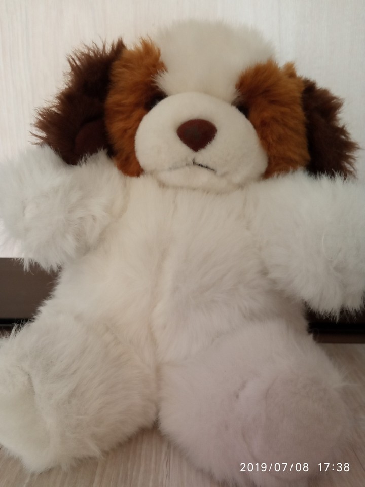 Puppy