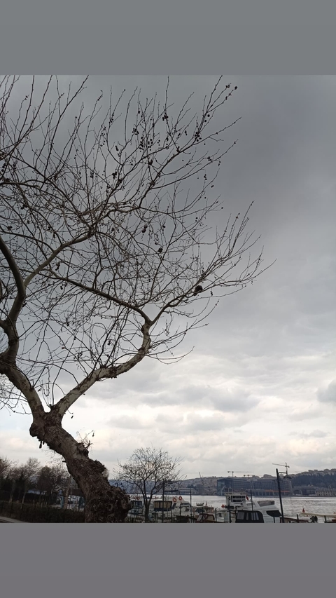 cloud, sky वॉलपेपर