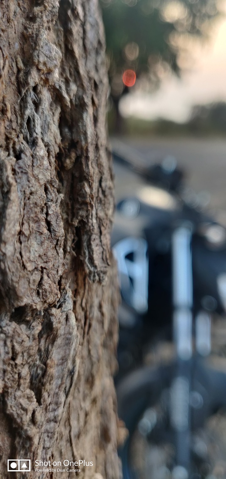 BIKE RIDE