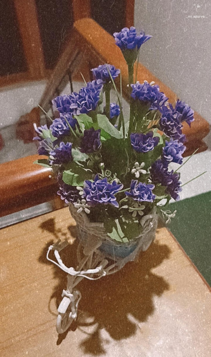 Cycle of flowers